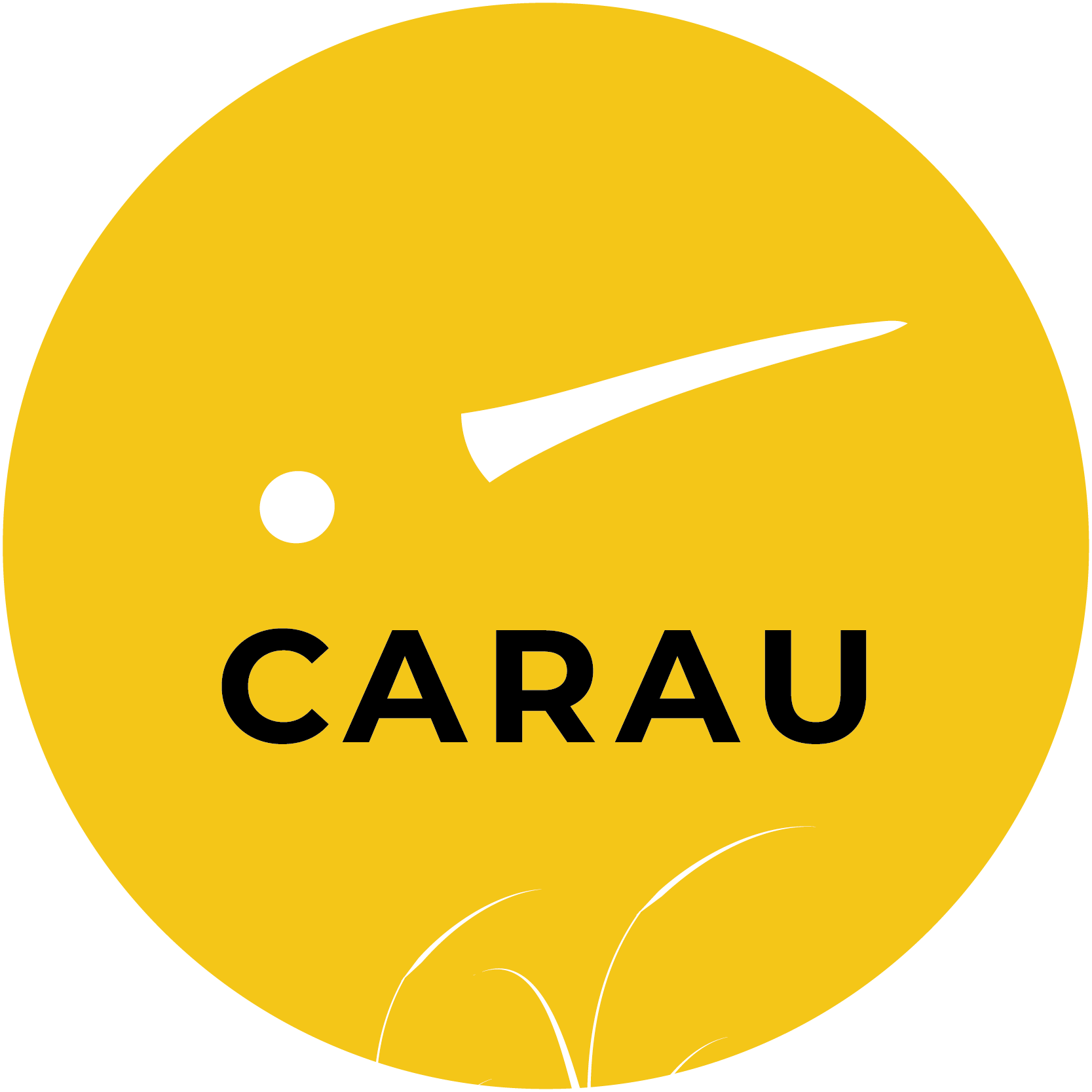 IDEAS QUE TOMAN VUELO